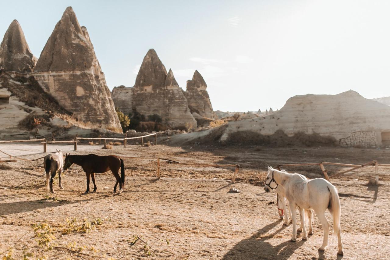 Sandık cave suites Nevşehir Extérieur photo